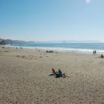 cambriaDR_0238 (November 02, 2019)